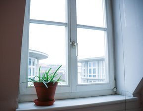 Blick aus dem "Küchen-Wohnzimmer-Fenster"