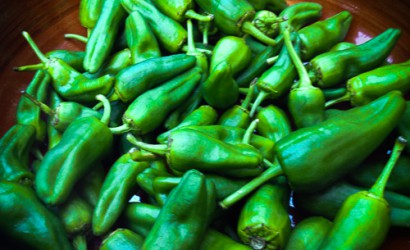 Piementos de Padrón, spanisches Tapa