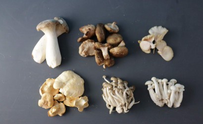 SEMMELKNÖDELN MIT WILDPILZEN