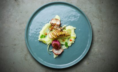 TINTENFISCH MIT BLUMENKOHLPÜREE, FENCHEL, ANGEBRATENEN RADIESCHEN & KERBEL-CHILI-SALSA