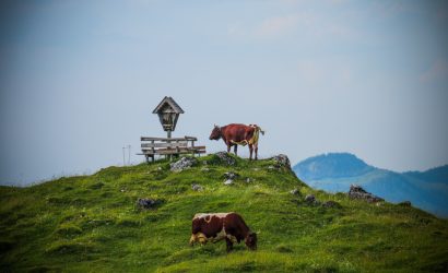 UNSER TRAUMHAFTER KÄSE-KURZURLAUB IN TIROL!